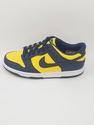 NIKE DUNK LOW GS