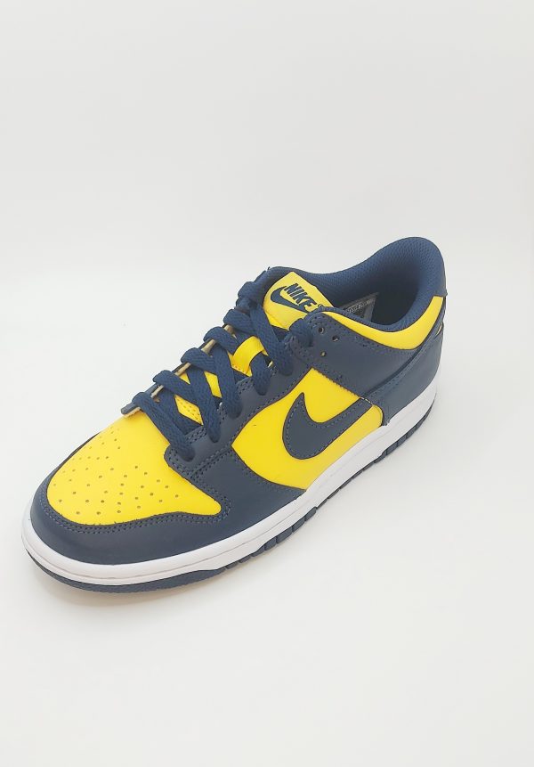 20240423_141458 NIKE DUNK LOW GS