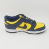 NIKE DUNK LOW GS