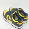 NIKE DUNK LOW GS