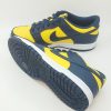 NIKE DUNK LOW GS