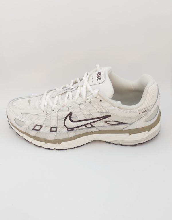 20240423_161433 NIKE P-6000