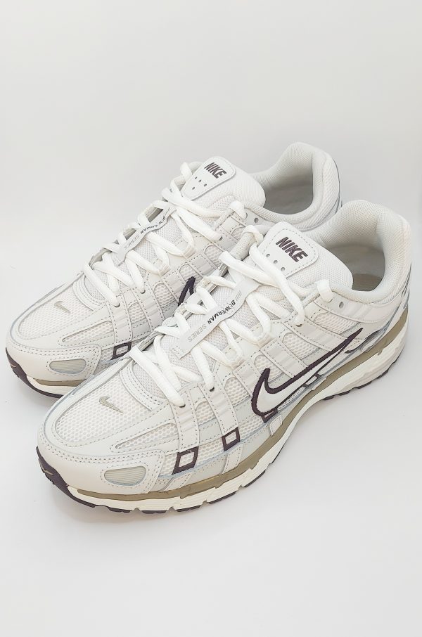 20240423_161513 NIKE P-6000