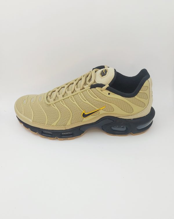 20240423_162945 NIKE AIR MAX PLUS