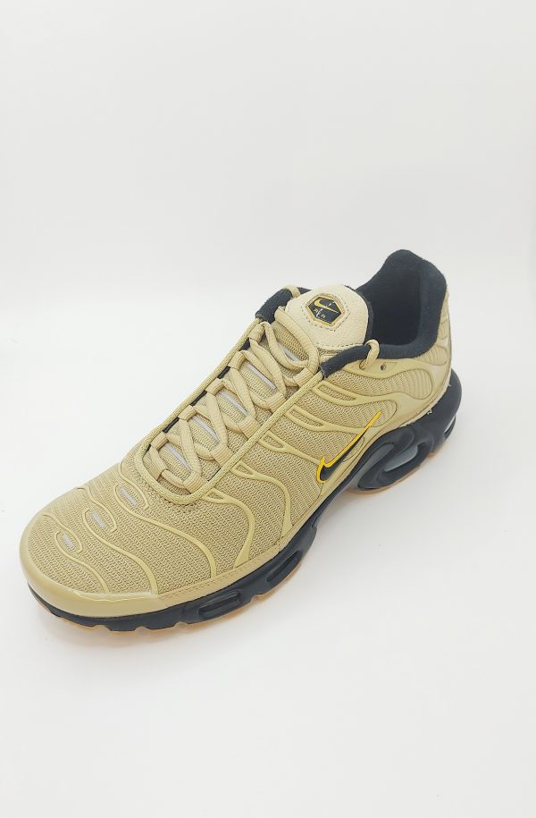 20240423_162950 NIKE AIR MAX PLUS