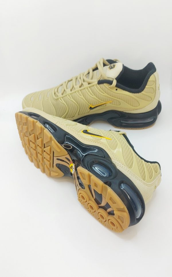 20240423_163059 NIKE AIR MAX PLUS