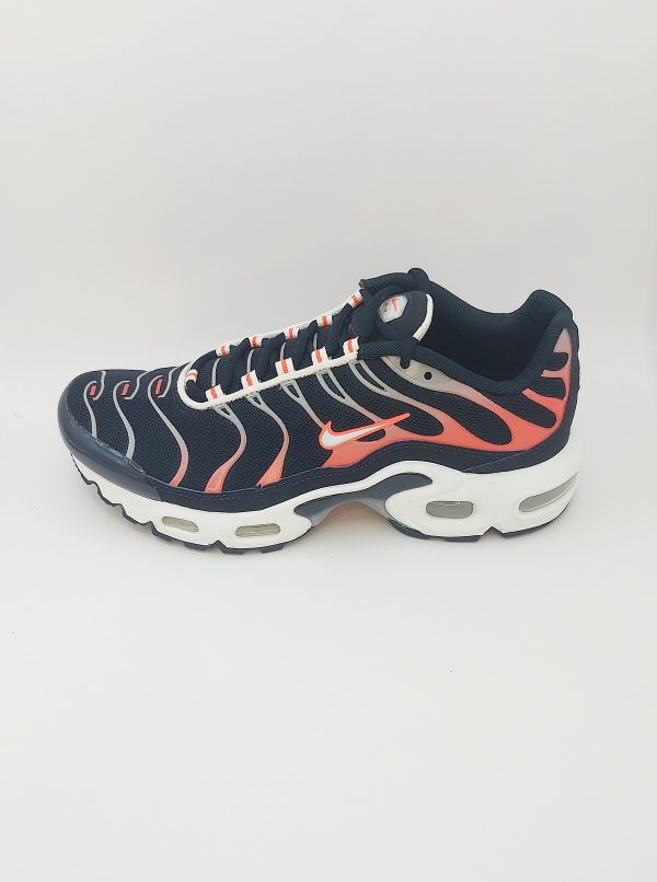 20240423_163509 NIKE AIR MAX PLUS