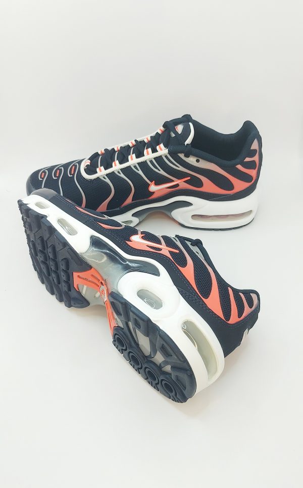 20240423_163620 NIKE AIR MAX PLUS