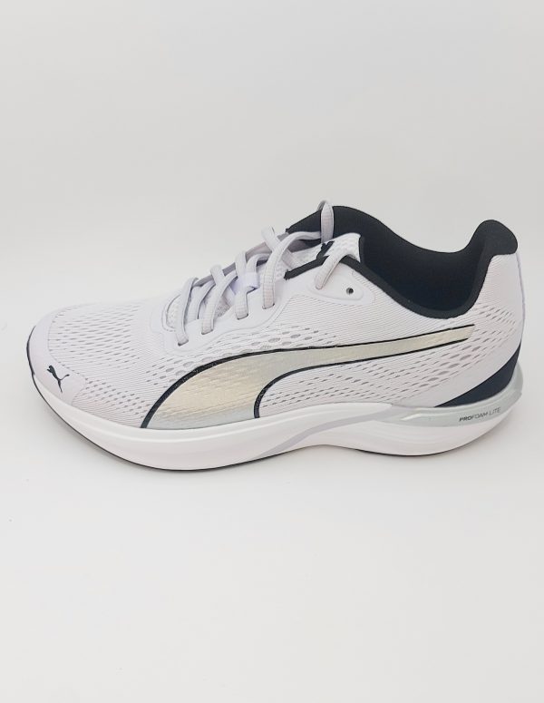 PUMA FELINE