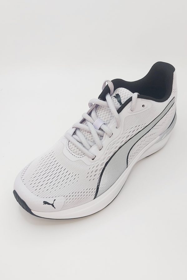 PUMA FELINE